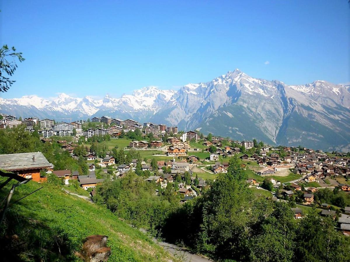 Pracondu Outdoor & Fun Appartement 1 Chambre Avec Balcon By Alpvision Residences Nendaz Exterior photo